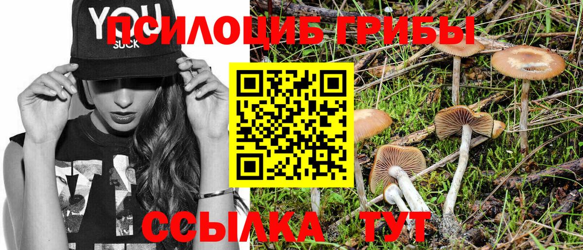 Псилоцибиновые грибы ЛСД  Галлюциногенные грибы GOLDEN TEACHER  Вход с VPN  Гагарин 