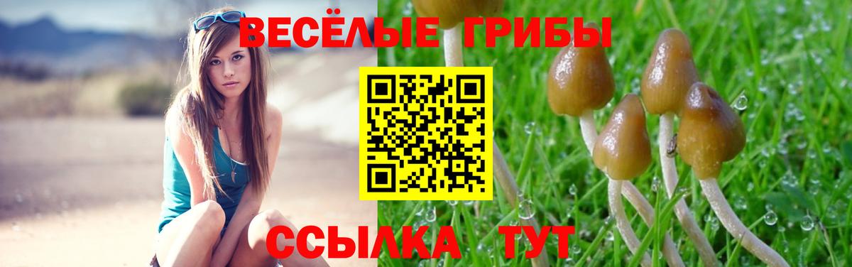 Псилоцибиновые грибы прущие грибы Гагарин